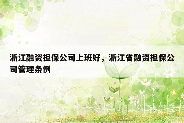 浙江融资担保公司上班好，浙江省融资担保公司管理条例