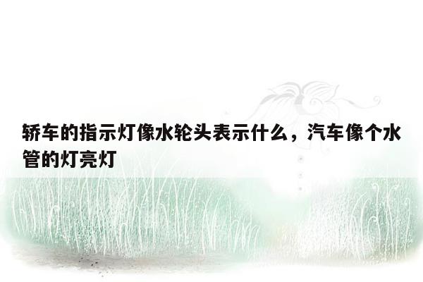 轿车的指示灯像水轮头表示什么，汽车像个水管的灯亮灯