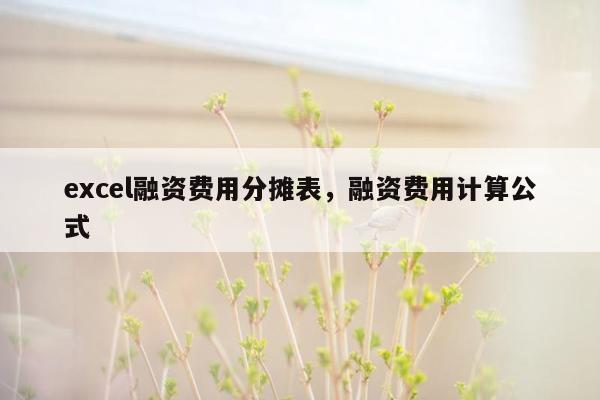 excel融资费用分摊表，融资费用计算公式