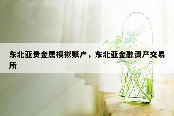 东北亚贵金属模拟账户，东北亚金融资产交易所