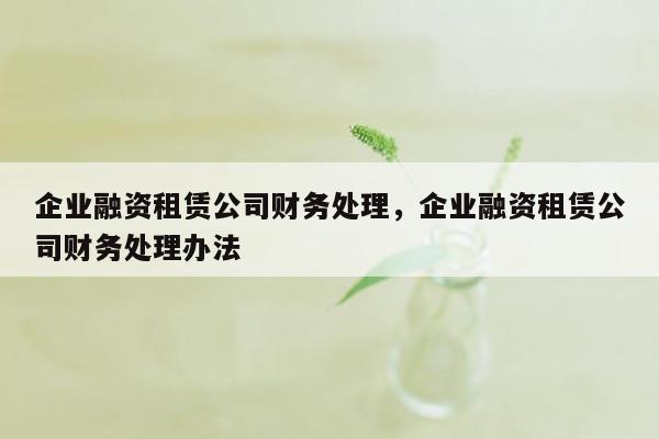 企业融资租赁公司财务处理，企业融资租赁公司财务处理办法