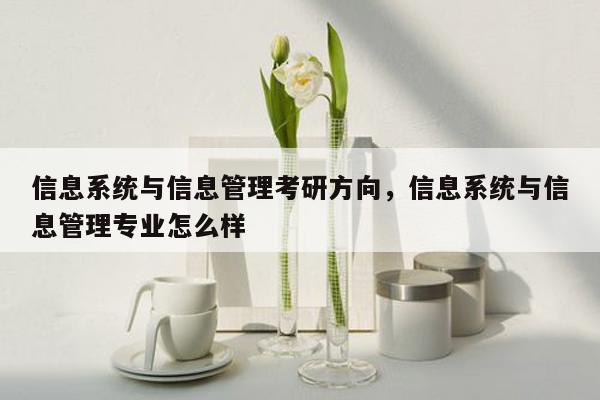 信息系统与信息管理考研方向，信息系统与信息管理专业怎么样