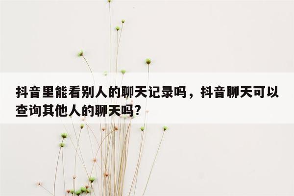 抖音里能看别人的聊天记录吗，抖音聊天可以查询其他人的聊天吗?