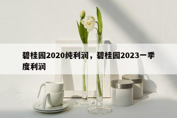 碧桂园2020纯利润，碧桂园2023一季度利润