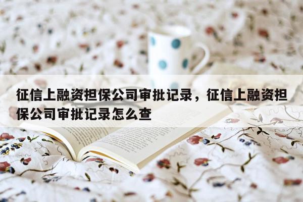 征信上融资担保公司审批记录，征信上融资担保公司审批记录怎么查