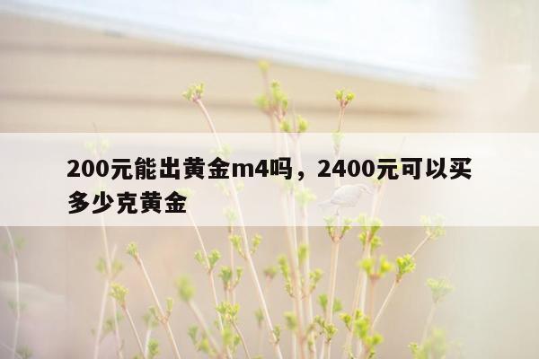 200元能出黄金m4吗，2400元可以买多少克黄金