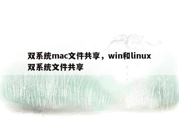 双系统mac文件共享，win和linux双系统文件共享