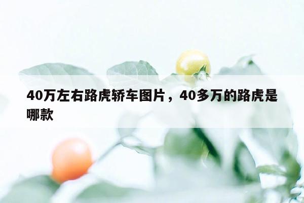 40万左右路虎轿车图片，40多万的路虎是哪款