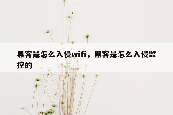 黑客是怎么入侵wifi，黑客是怎么入侵监控的