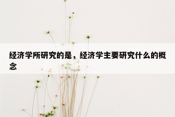 经济学所研究的是，经济学主要研究什么的概念