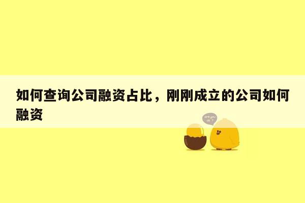 如何查询公司融资占比，刚刚成立的公司如何融资