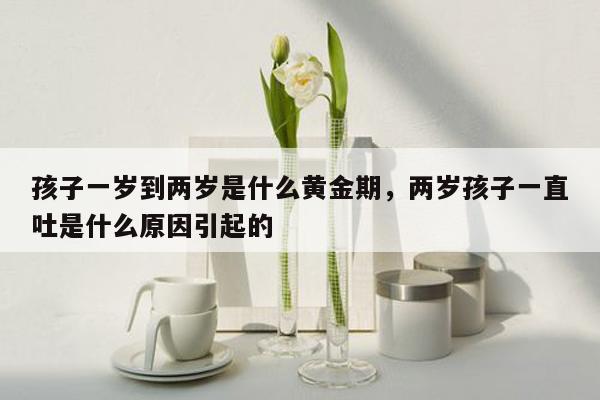 孩子一岁到两岁是什么黄金期，两岁孩子一直吐是什么原因引起的