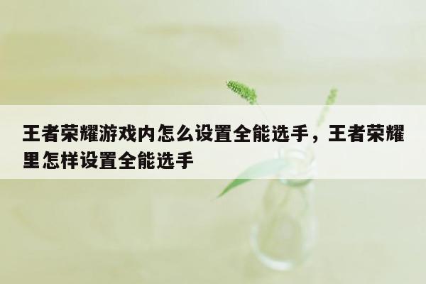 王者荣耀游戏内怎么设置全能选手，王者荣耀里怎样设置全能选手