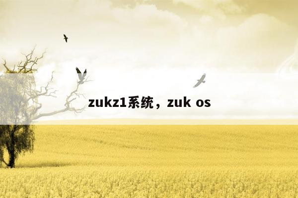 zukz1系统，zuk os