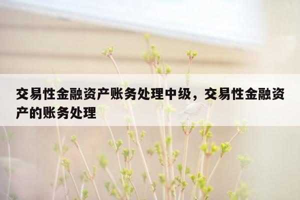 交易性金融资产账务处理中级，交易性金融资产的账务处理