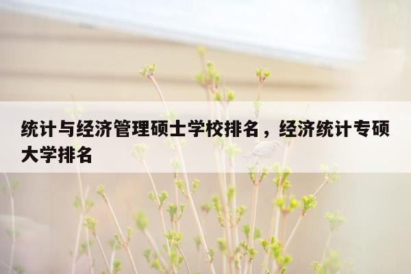 统计与经济管理硕士学校排名，经济统计专硕大学排名