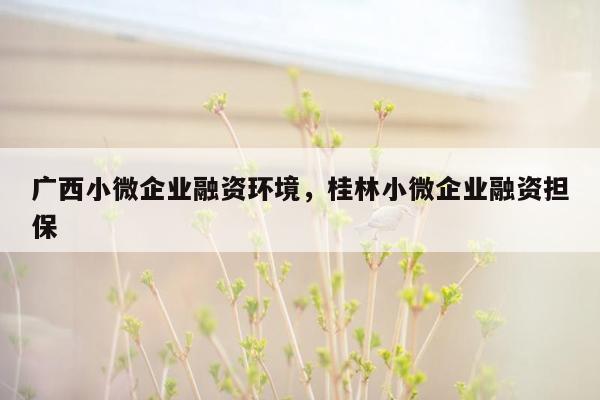 广西小微企业融资环境，桂林小微企业融资担保