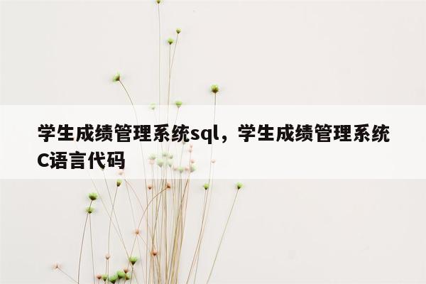 学生成绩管理系统sql，学生成绩管理系统C语言代码