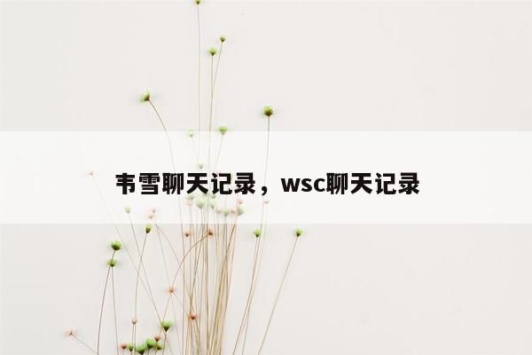 韦雪聊天记录，wsc聊天记录