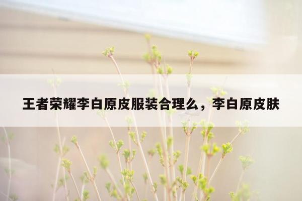 王者荣耀李白原皮服装合理么，李白原皮肤