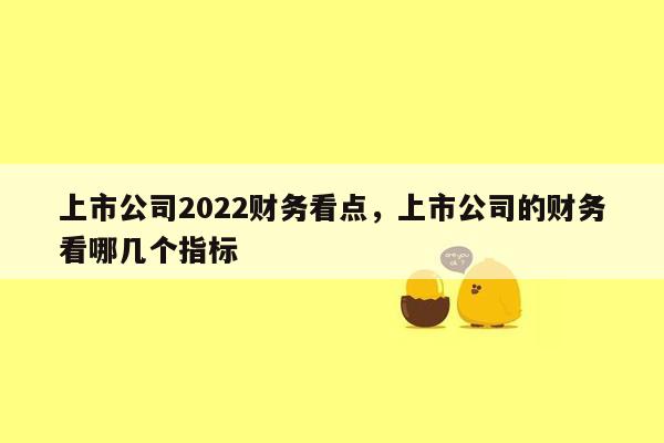 上市公司2022财务看点，上市公司的财务看哪几个指标