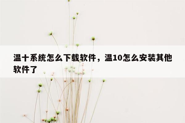 温十系统怎么下载软件，温10怎么安装其他软件了