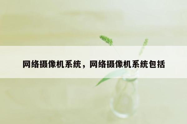 网络摄像机系统，网络摄像机系统包括