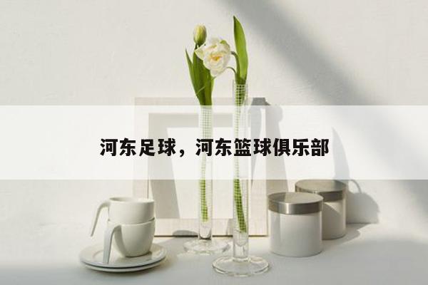 河东足球，河东篮球俱乐部