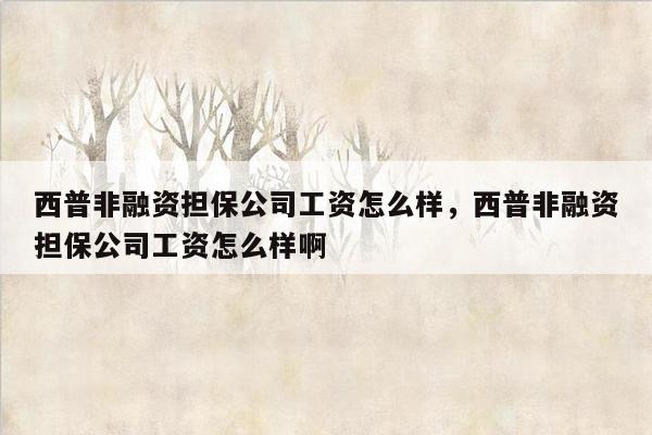 西普非融资担保公司工资怎么样，西普非融资担保公司工资怎么样啊