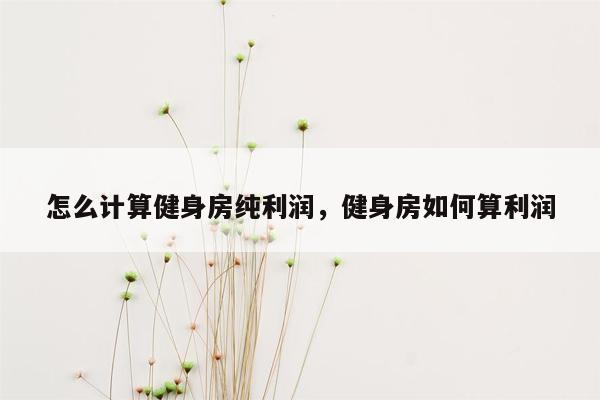 怎么计算健身房纯利润，健身房如何算利润