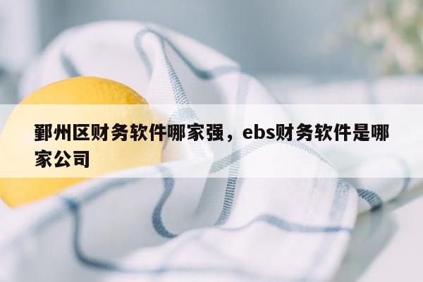 鄞州区财务软件哪家强，ebs财务软件是哪家公司