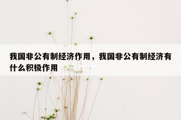 我国非公有制经济作用，我国非公有制经济有什么积极作用