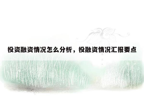 投资融资情况怎么分析，投融资情况汇报要点