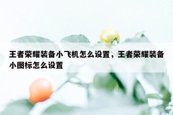 王者荣耀装备小飞机怎么设置，王者荣耀装备小图标怎么设置