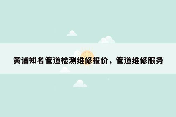 黄浦知名管道检测维修报价，管道维修服务