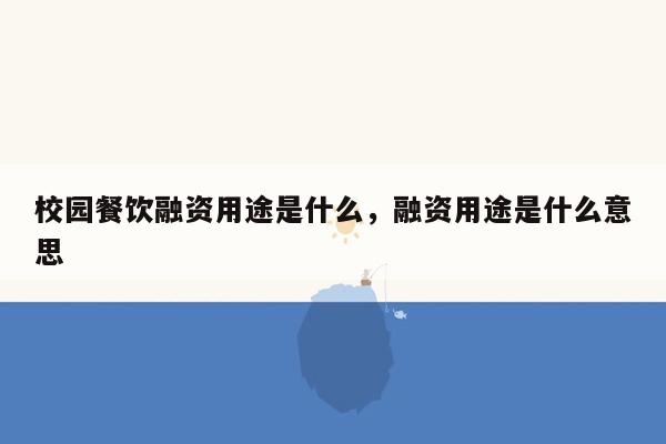 校园餐饮融资用途是什么，融资用途是什么意思