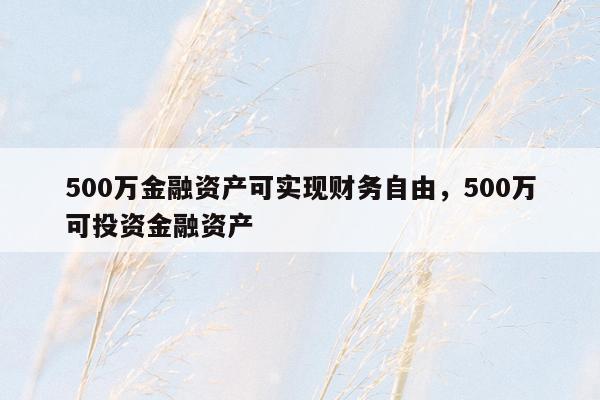 500万金融资产可实现财务自由，500万可投资金融资产