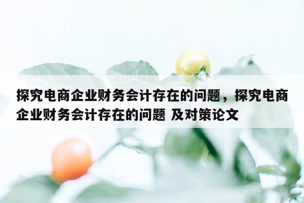 探究电商企业财务会计存在的问题，探究电商企业财务会计存在的问题 及对策论文