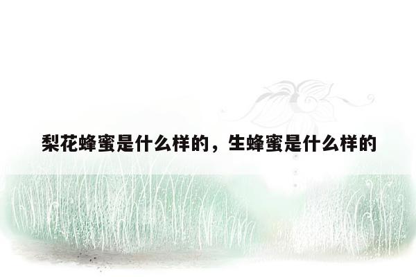 梨花蜂蜜是什么样的，生蜂蜜是什么样的