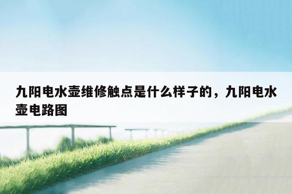 九阳电水壶维修触点是什么样子的，九阳电水壶电路图