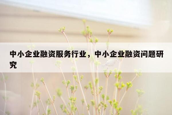 中小企业融资服务行业，中小企业融资问题研究