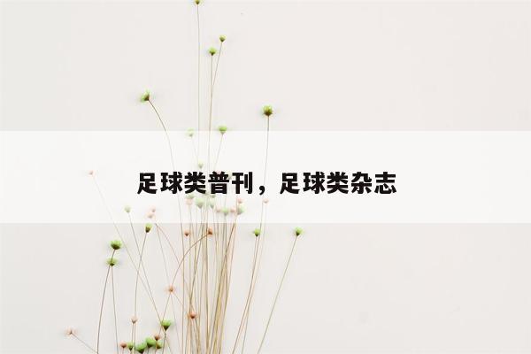 足球类普刊，足球类杂志