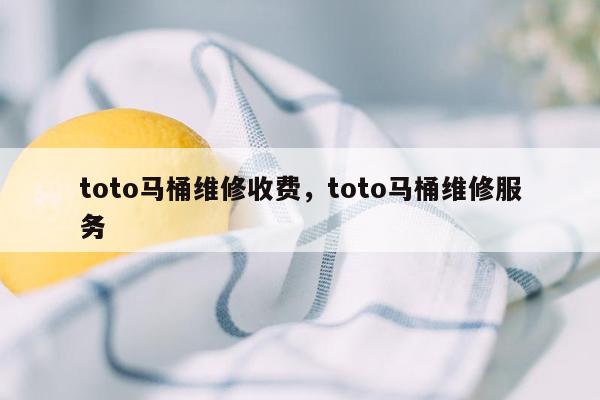 toto马桶维修收费，toto马桶维修服务