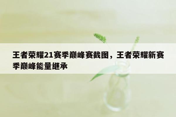 王者荣耀21赛季巅峰赛截图，王者荣耀新赛季巅峰能量继承