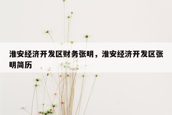 淮安经济开发区财务张明，淮安经济开发区张明简历