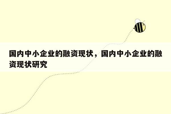 国内中小企业的融资现状，国内中小企业的融资现状研究