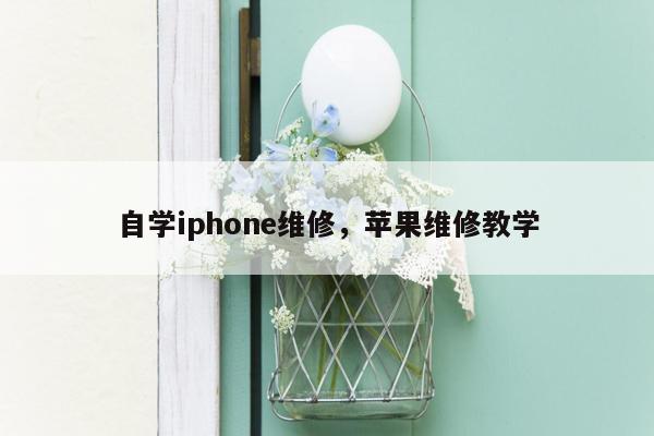 自学iphone维修，苹果维修教学