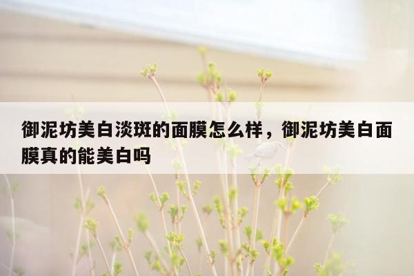 御泥坊美白淡斑的面膜怎么样，御泥坊美白面膜真的能美白吗