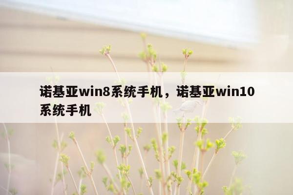 诺基亚win8系统手机，诺基亚win10系统手机