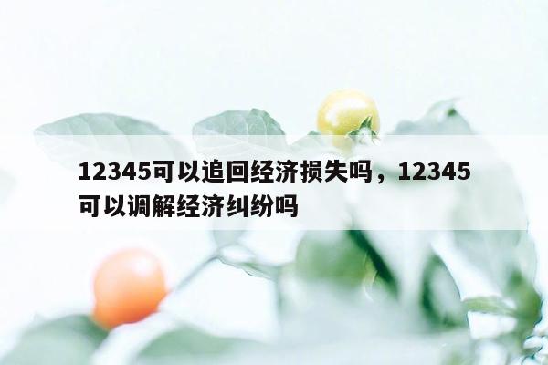 12345可以追回经济损失吗，12345可以调解经济纠纷吗